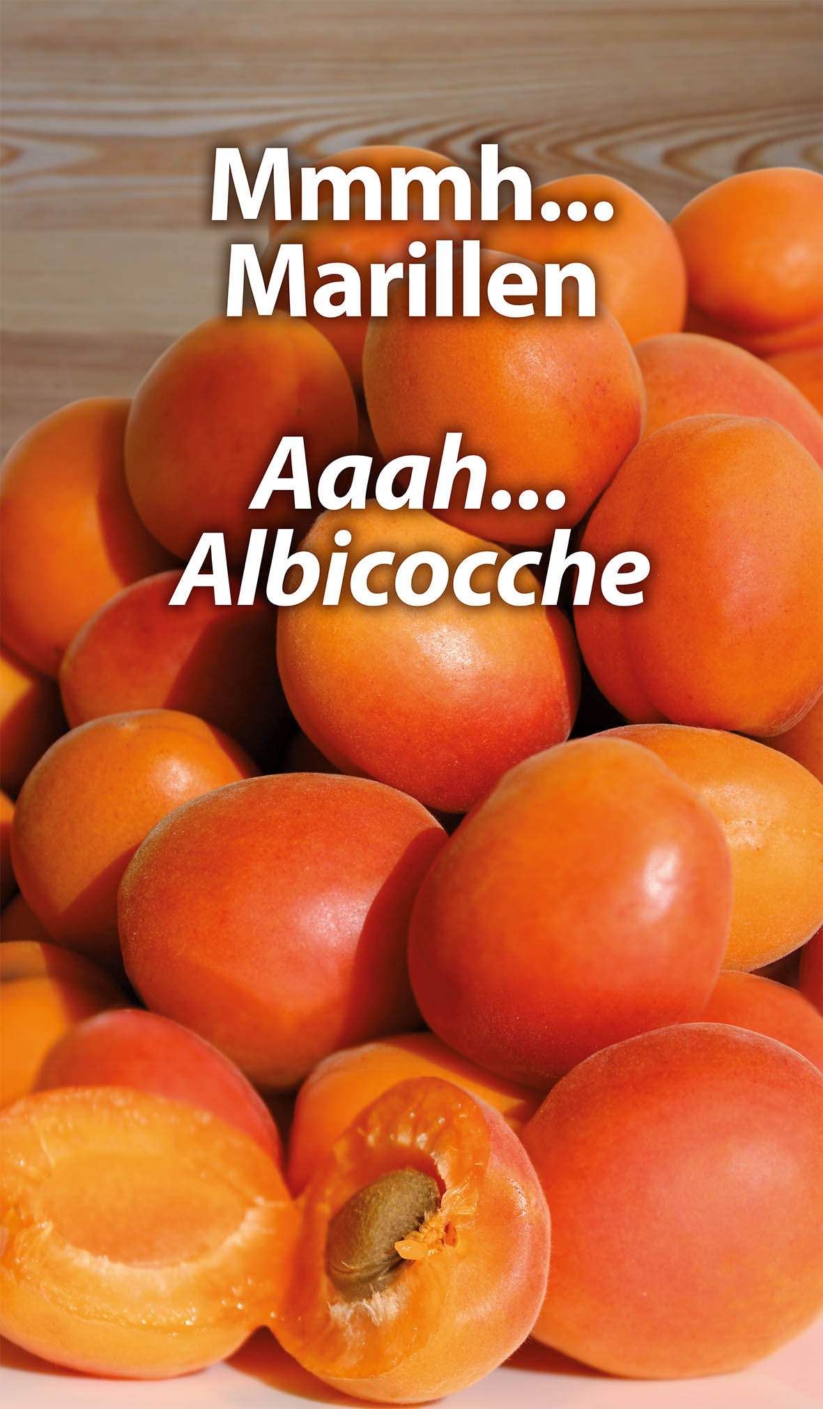Aktionsbild
